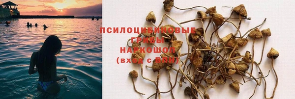 MESCALINE Горнозаводск